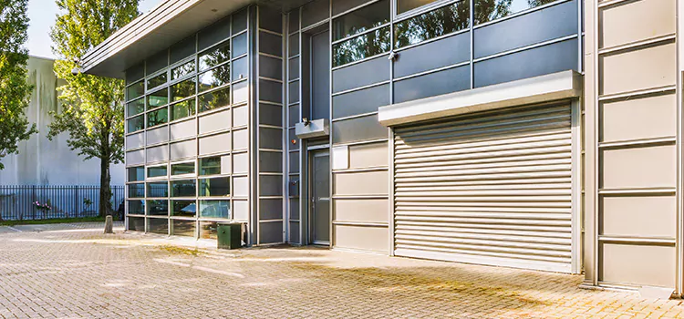 Electric Roller Garage Doors Dixon