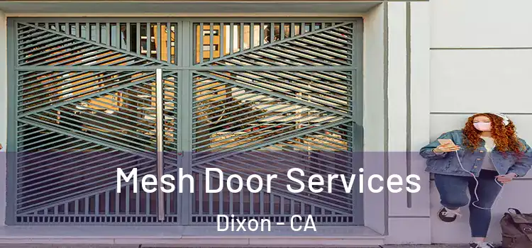  Mesh Door Services Dixon - CA